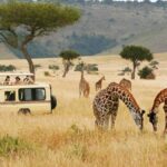 8-Day Kenya Wildlife Safari Holiday