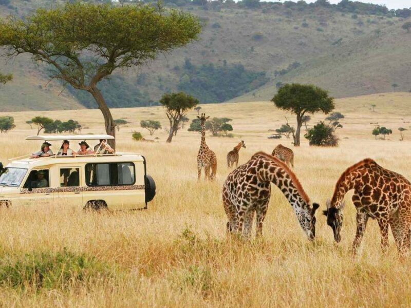 8-Day Kenya Wildlife Safari Holiday