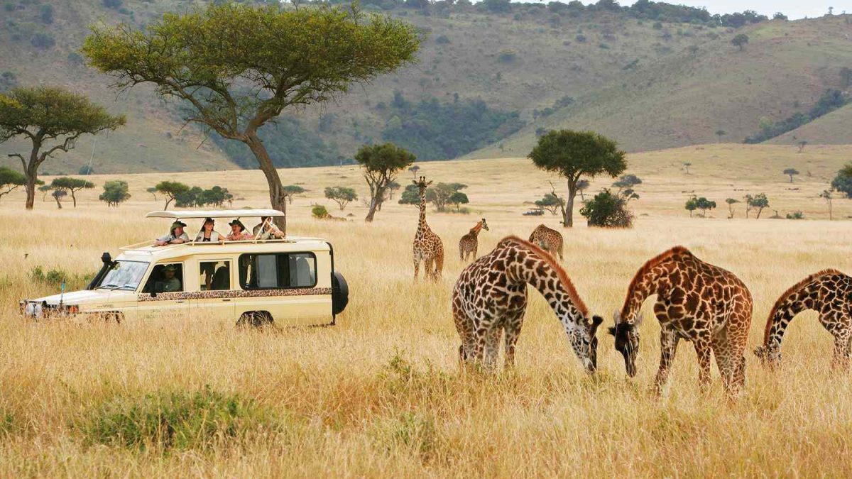 8-Day Kenya Wildlife Safari Holiday