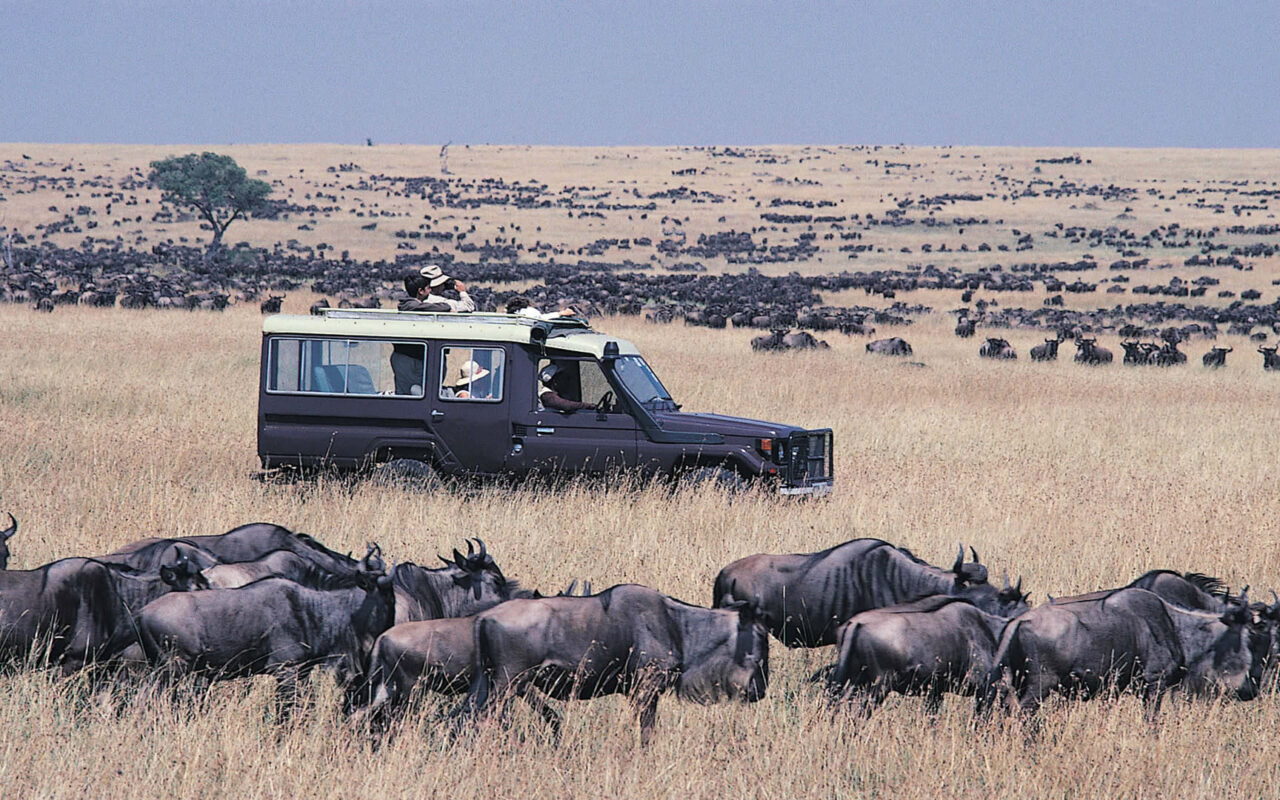 6-Day Kenya Wildlife Safari