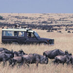 6-Day Kenya Wildlife Safari