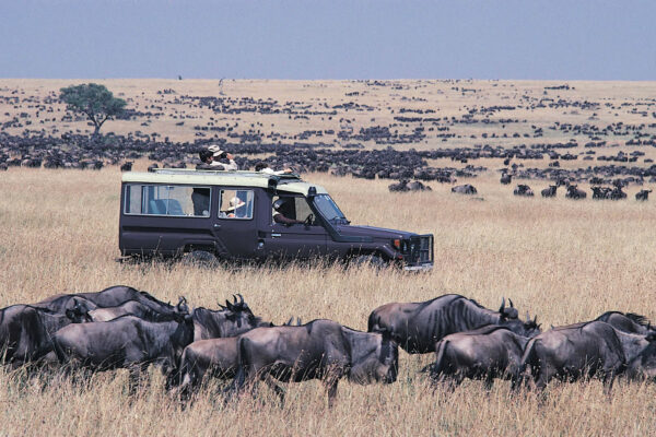6-Day Kenya Wildlife Safari