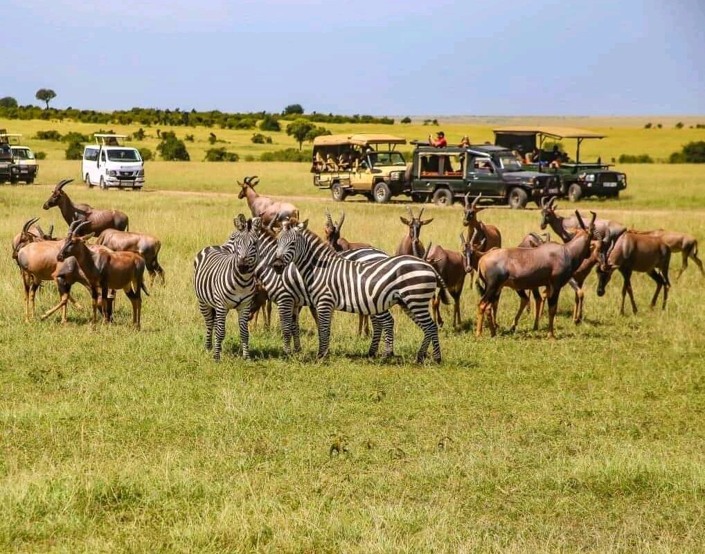 5-Day Kenya Adventure Safari