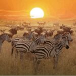 9-Day Magical Kenya Wildlife Safari and Beach Holiday