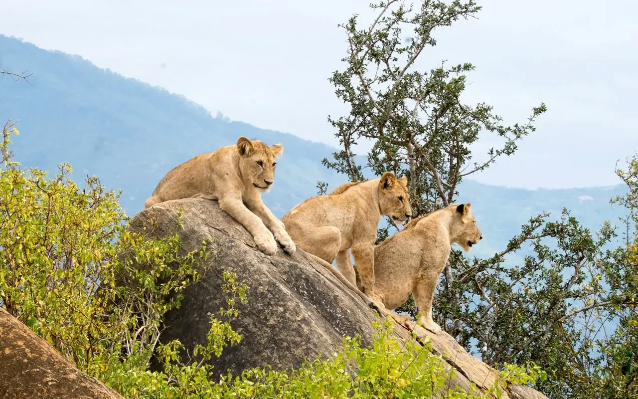 7-Day Kenya Adventure Safari Holiday