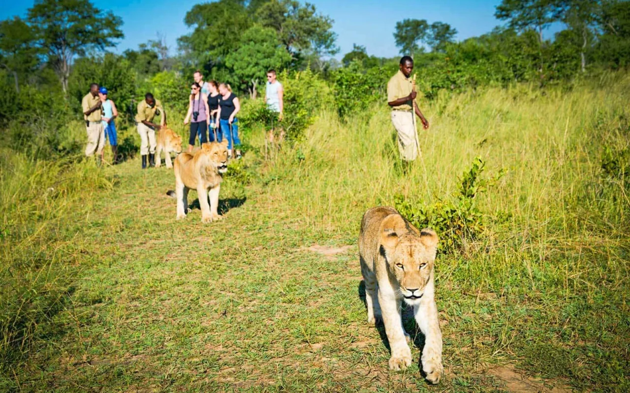 7-Day Kenya Big Five Safari Holiday