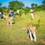 7-Day Kenya Big Five Safari Holiday