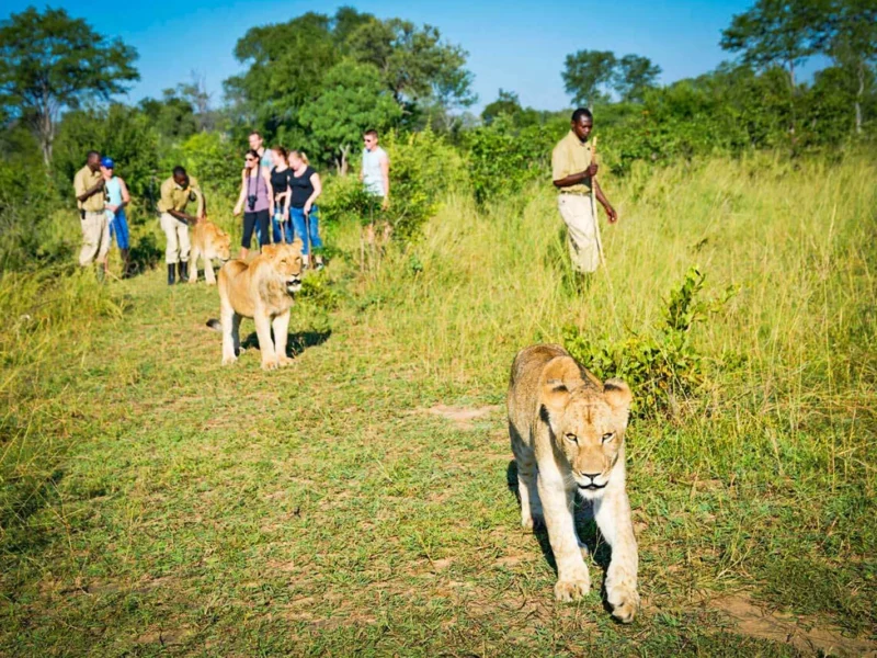 7-Day Kenya Big Five Safari Holiday