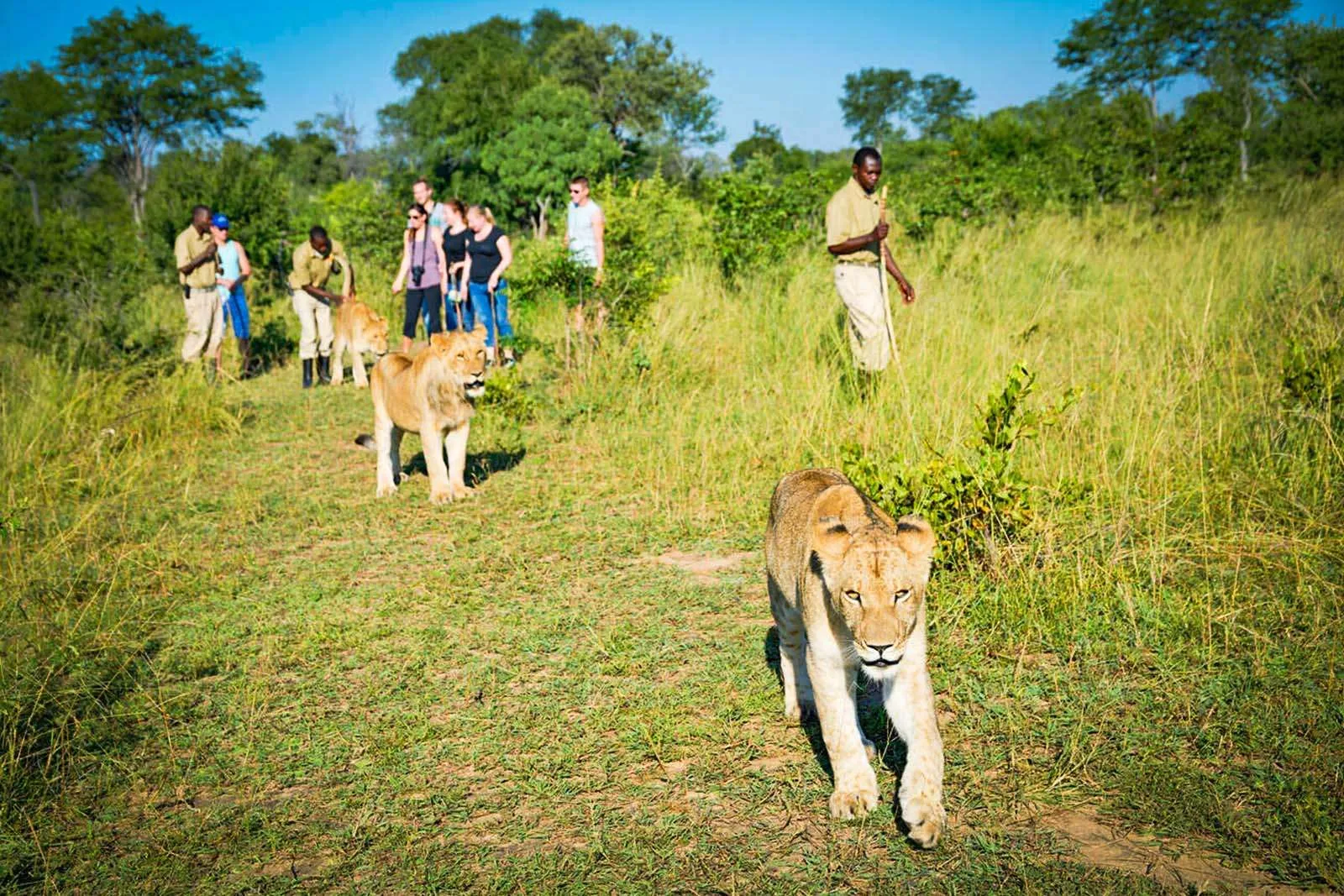 7-Day Kenya Big Five Safari Holiday