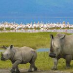 5-Day Kenya Wildlife Safari