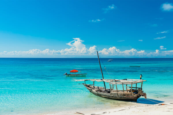 10-Day Best Tanzania Honeymoon Luxury Safari and Zanzibar Beach Getaway