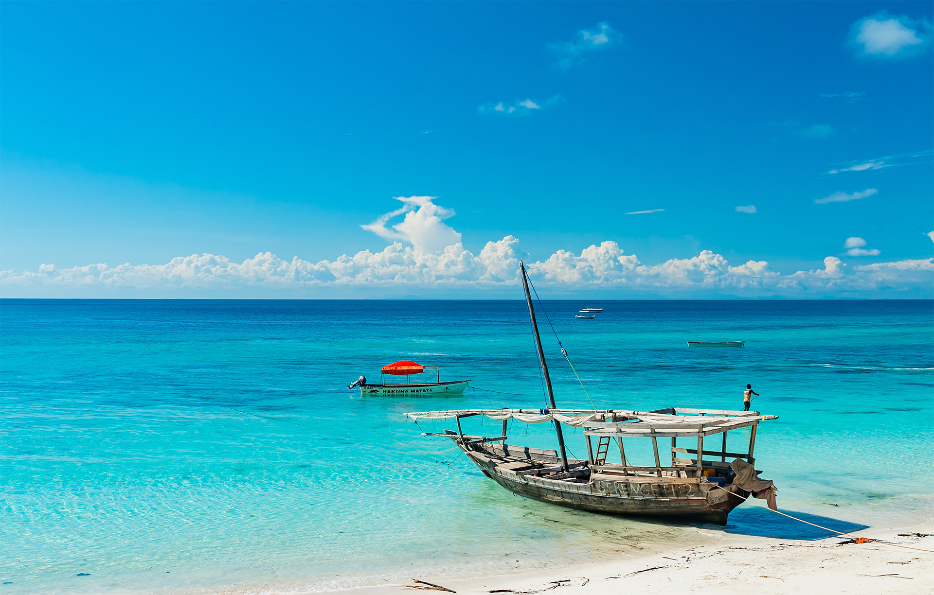 10-Day Best Tanzania Honeymoon Luxury Safari and Zanzibar Beach Getaway