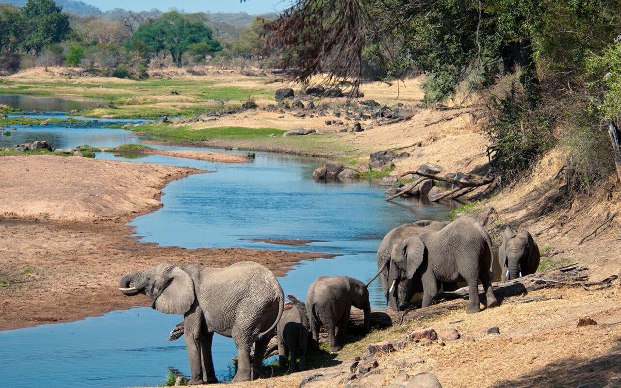 7-Day Tanzania Wildlife Safari