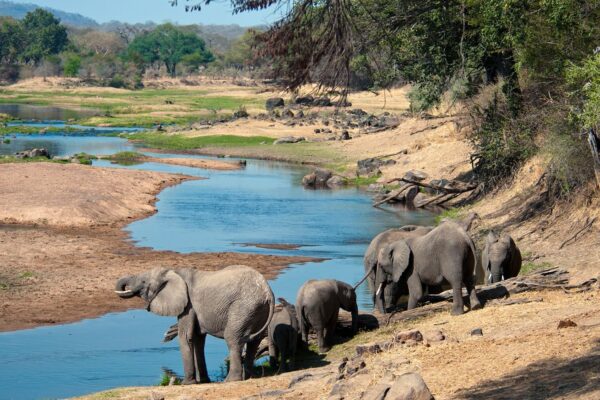 7-Day Tanzania Wildlife Safari