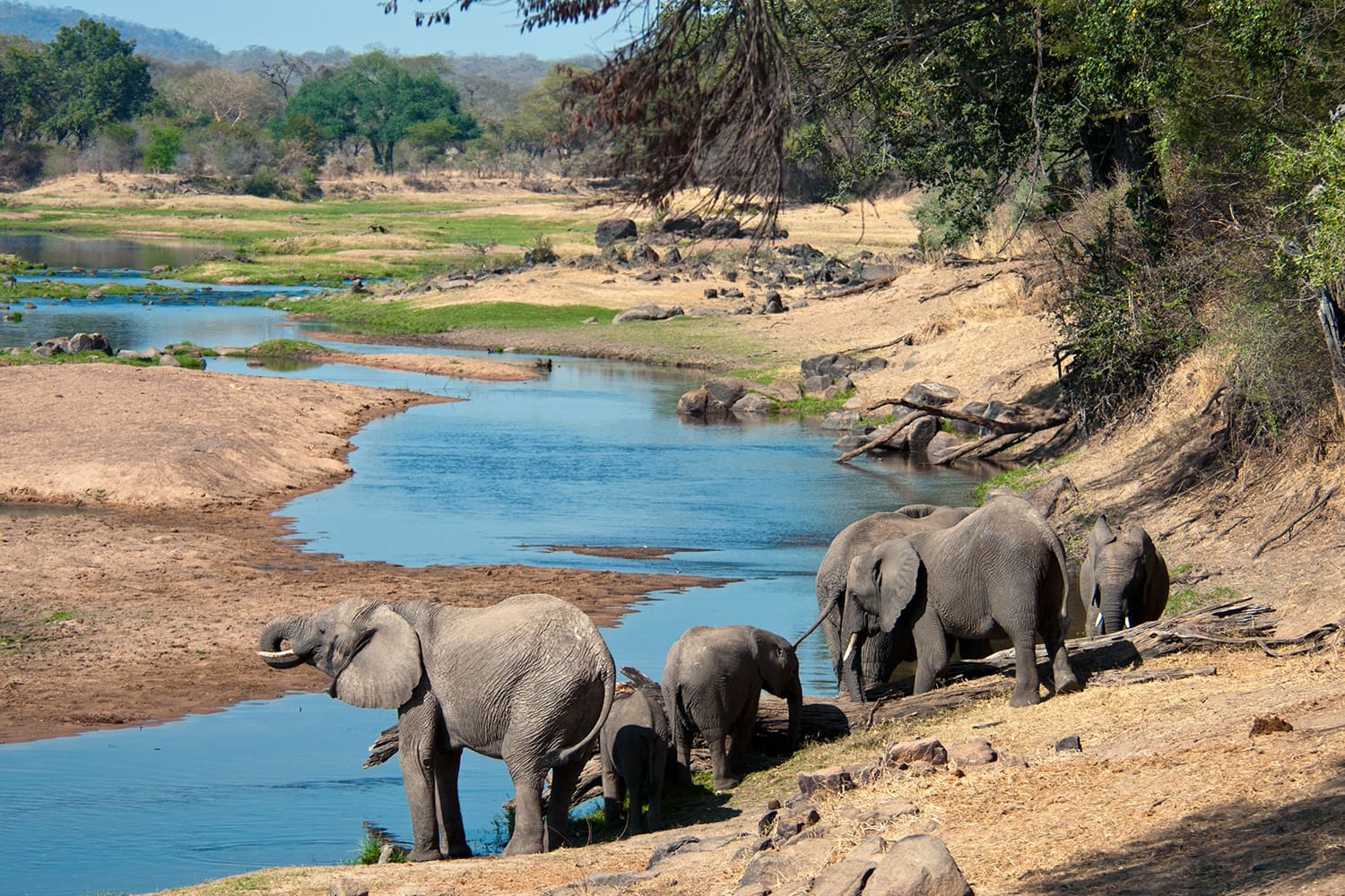 7-Day Tanzania Wildlife Safari