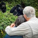 Gorilla Trekking Safaris