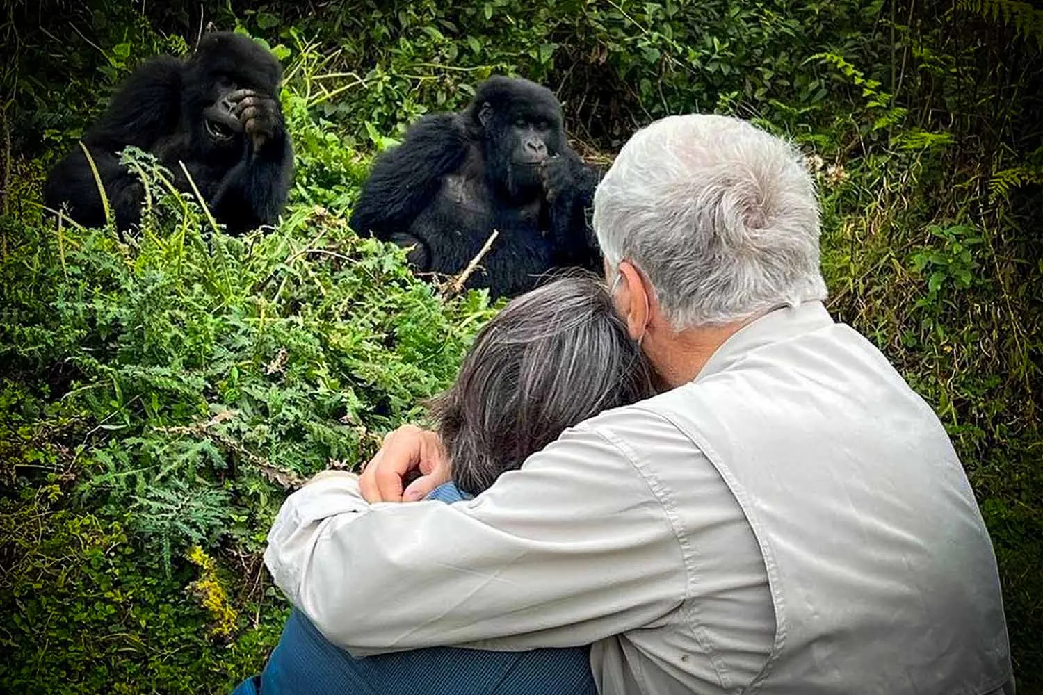 Gorilla Trekking Safaris