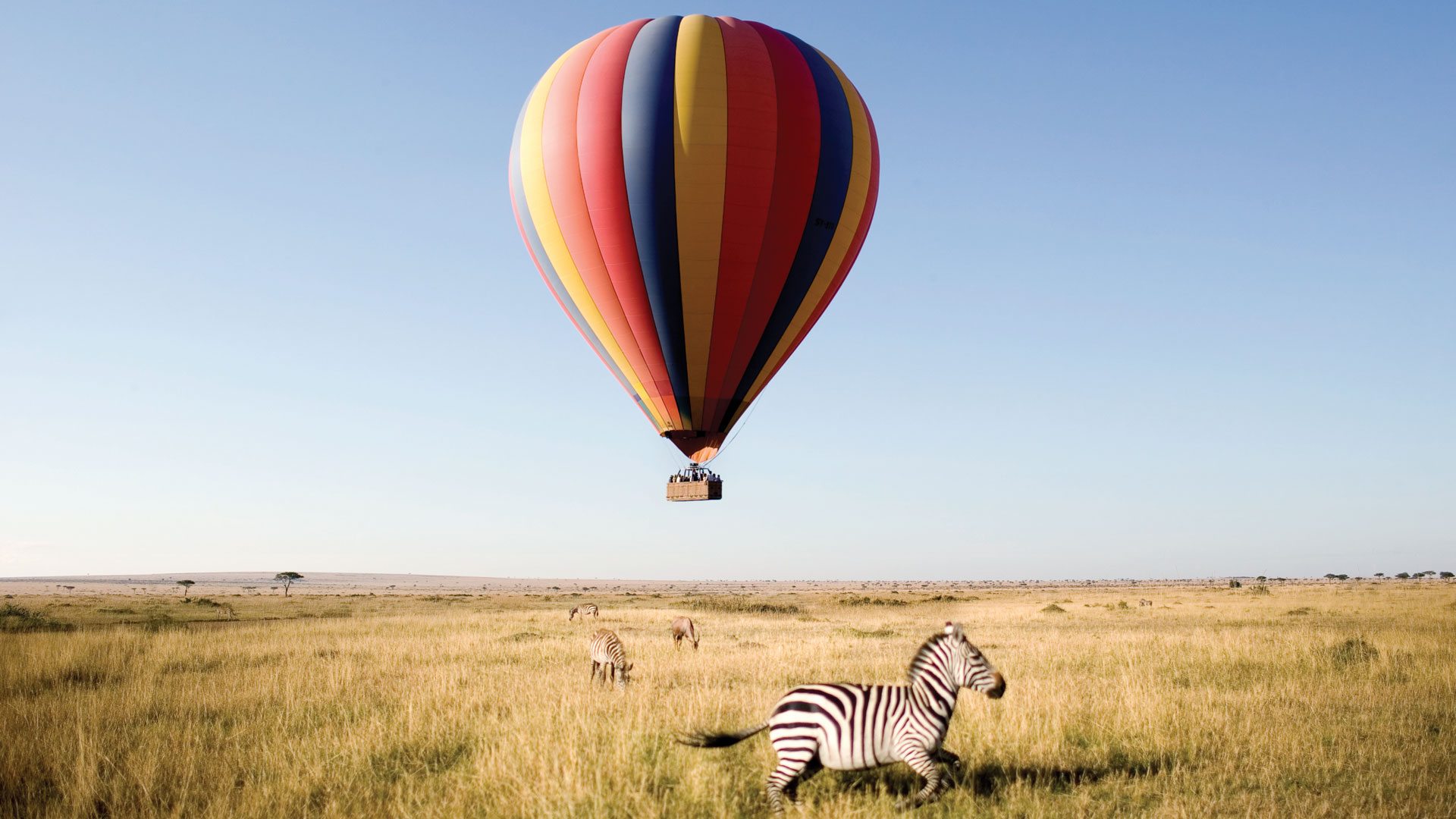 7-Day Budget Kenya Wildlife Safari