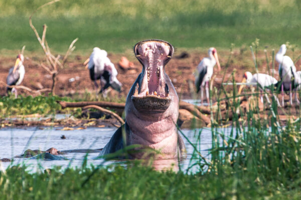 Lake Manyara