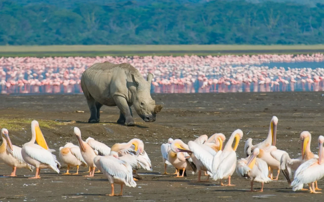 7-Day Tanzania Wildlife Wonders Experience Tour
