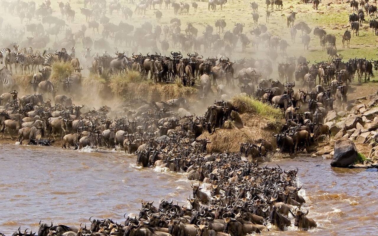 Masai Mara National Park