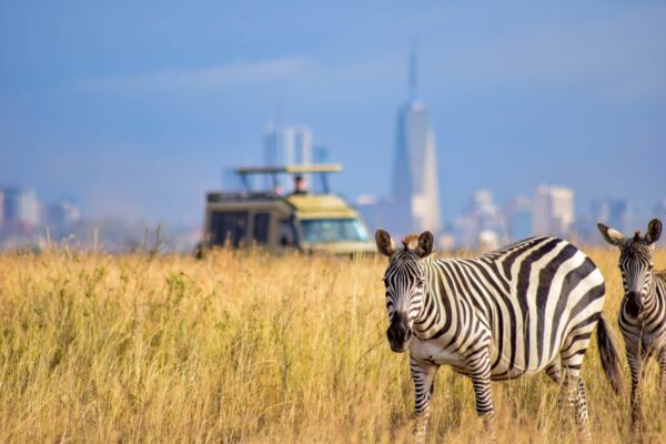 Nairobi-national-park
