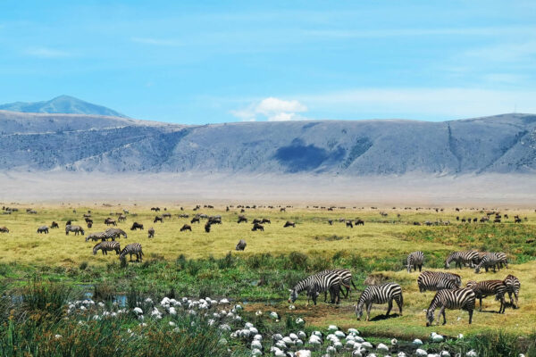 Ngorongoro-conservation-area-Tanzania