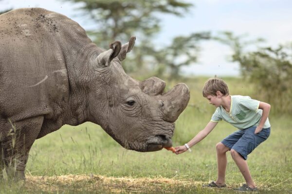 Ol-Pejeta-conservancy-1