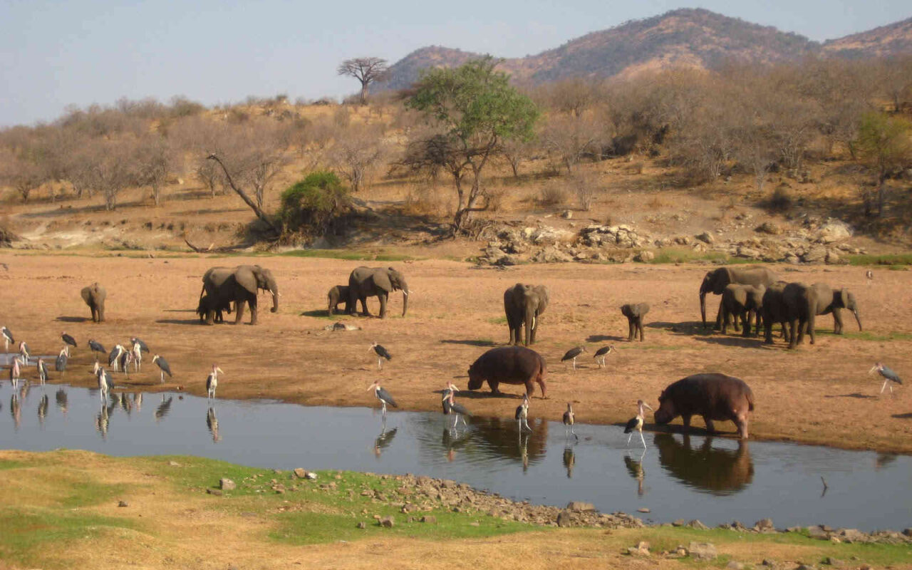 8-Day Tanzania Northern Circuit Safari