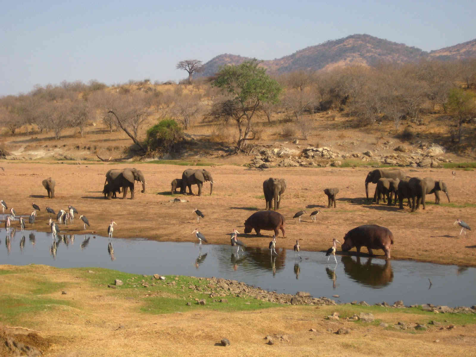 8-Day Tanzania Northern Circuit Safari
