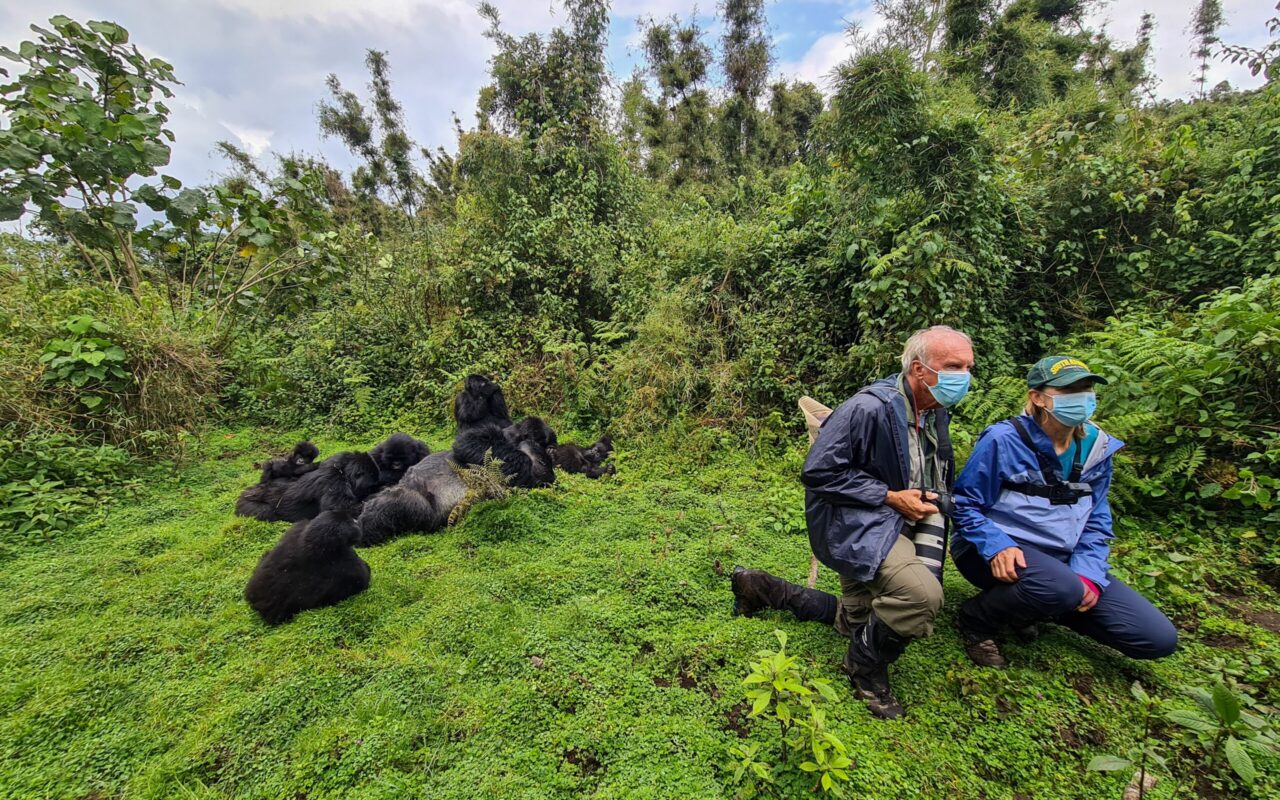 3 Days Uganda Gorilla Trekking Safari to Bwindi Impenetrable Forest