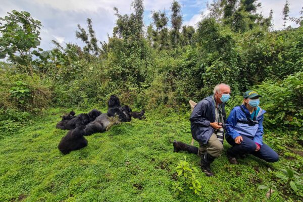 3 Days Uganda Gorilla Trekking Safari to Bwindi Impenetrable Forest