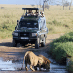 Rwanda Guided Safari Adventures