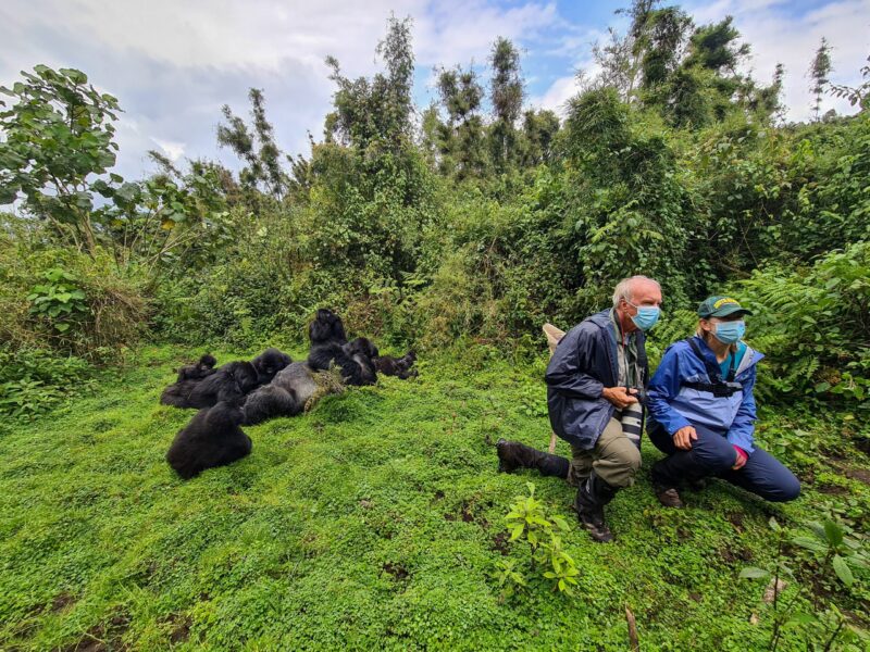 Rwanda Gorilla Safari Adventures