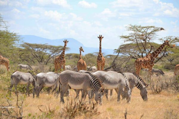 Samburu-National-Park-1