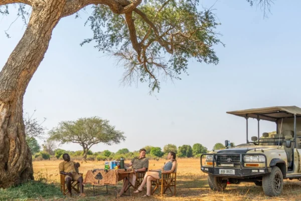 Senior Safari Experiences