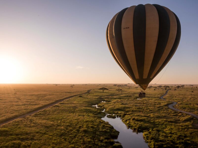 12-Day Tanzania Wildlife Safari