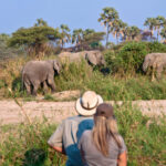 Mooi African Adventures