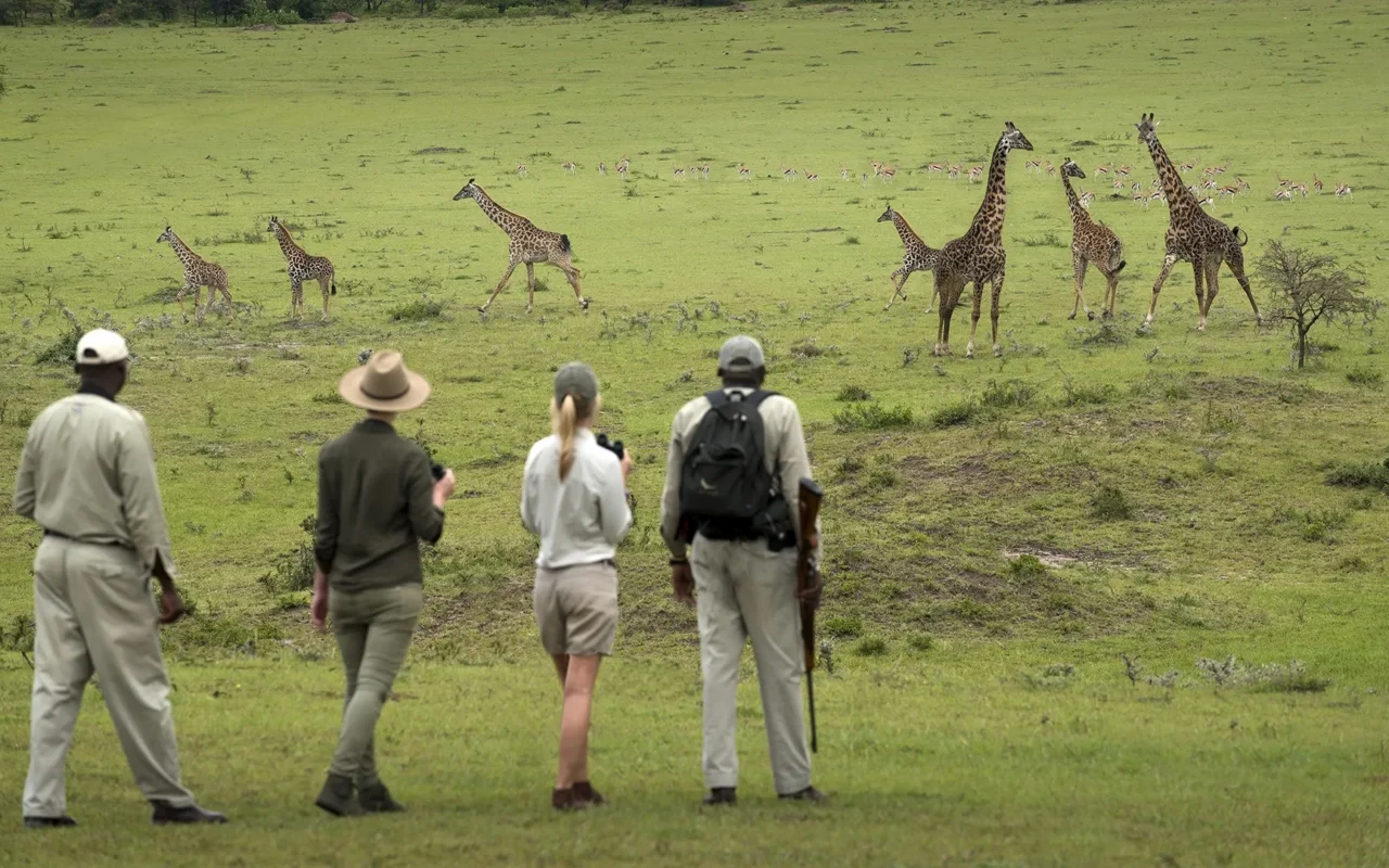Walking Safari Experiences