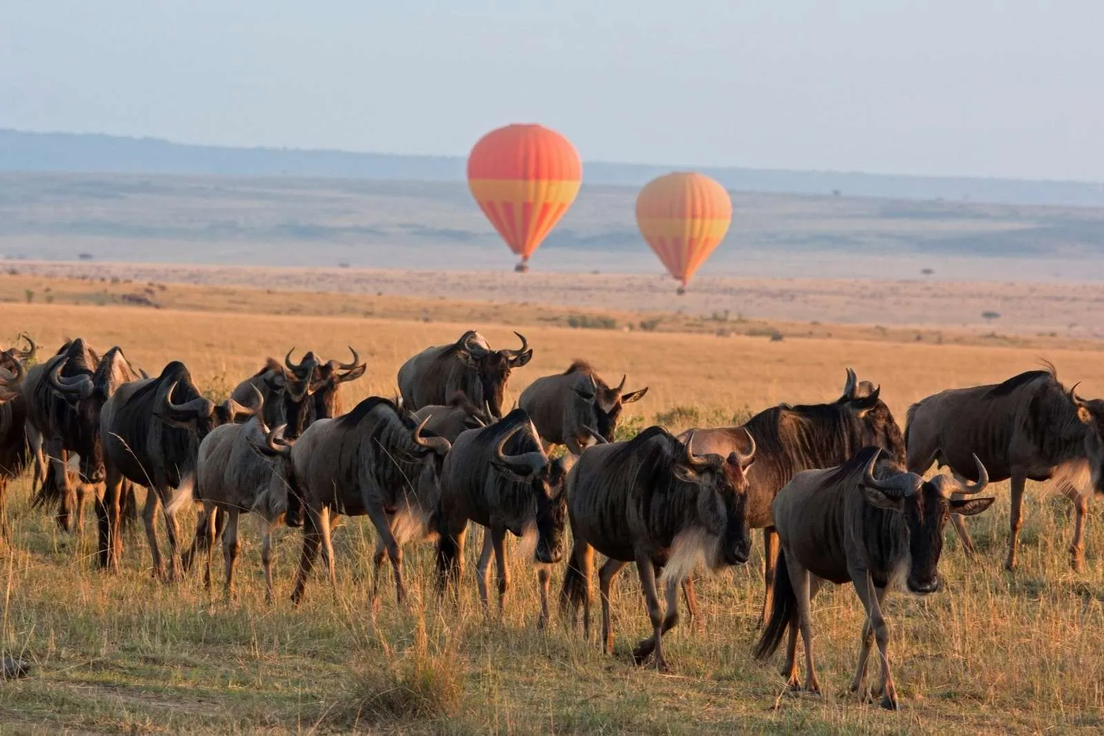 Tanzania Hot Air Balloon Safari