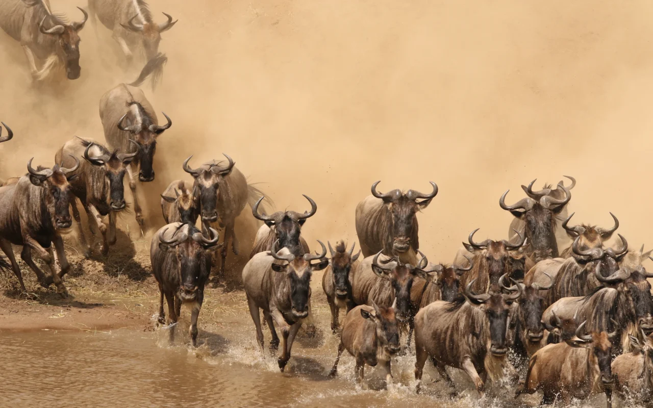 Serengeti National Park