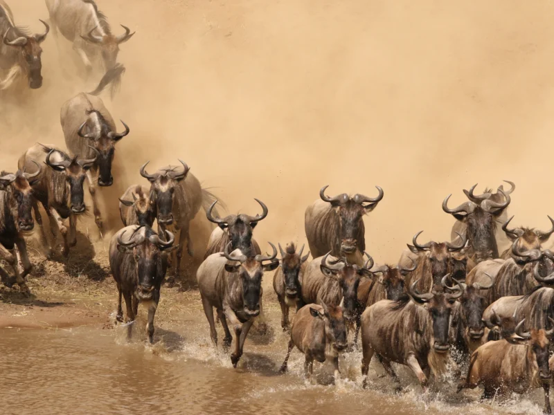 Serengeti National Park