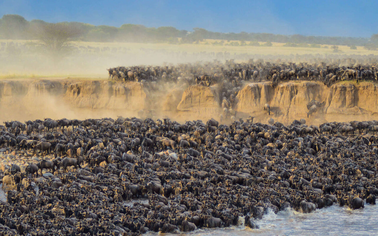 Tanzania Great Migration Safari