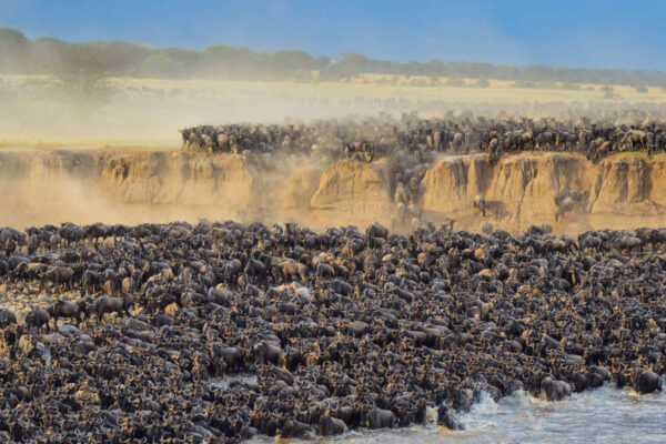 Tanzania Great Migration Safari