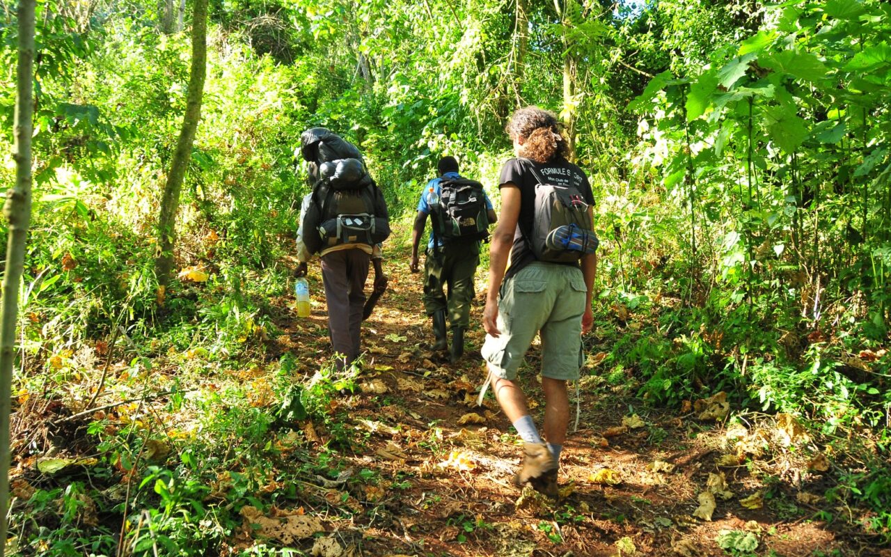 11 Days Uganda Safari Experience