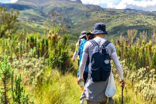Mountain Hiking Safari Experiences
