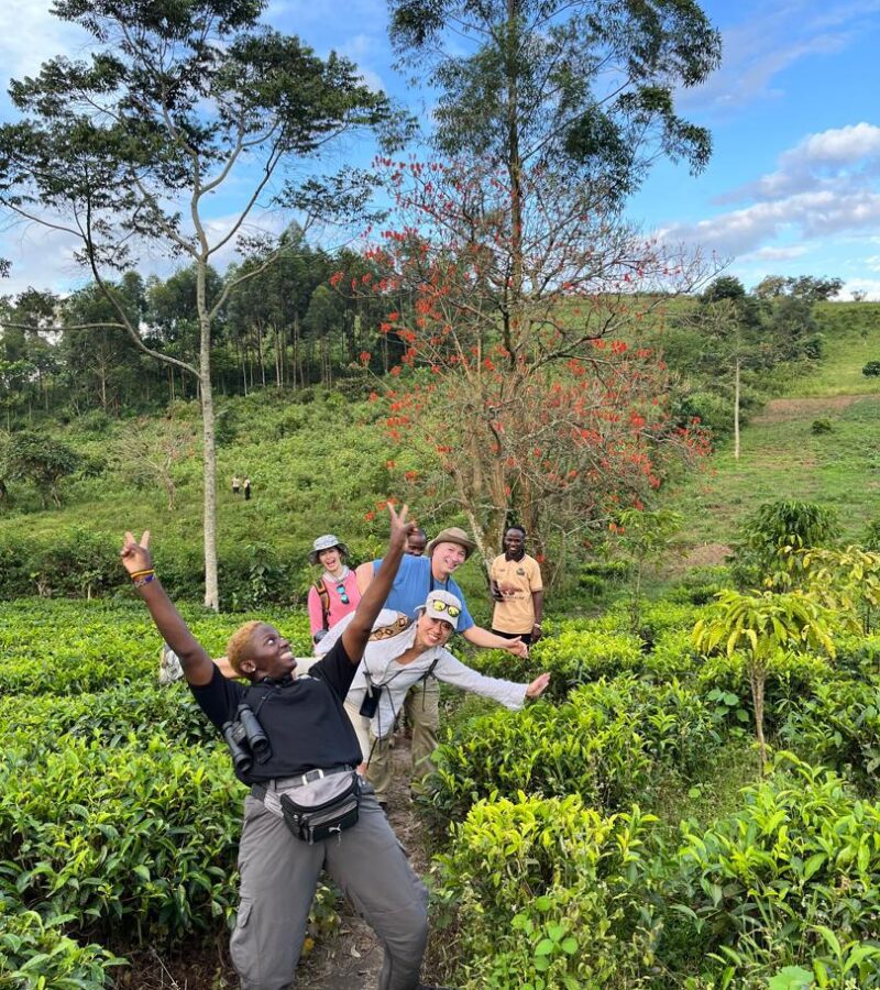 Uganda Group Safari Holidays